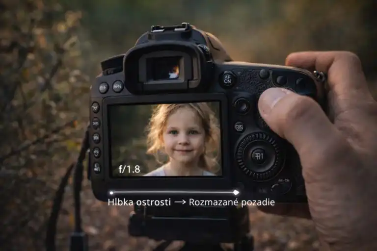Detailný pohľad cez objektív fotoaparátu na kvet v popredí s výrazne rozmazaným pozadím, ukážka malej hĺbky ostrosti pri prirodzenom dennom svetle