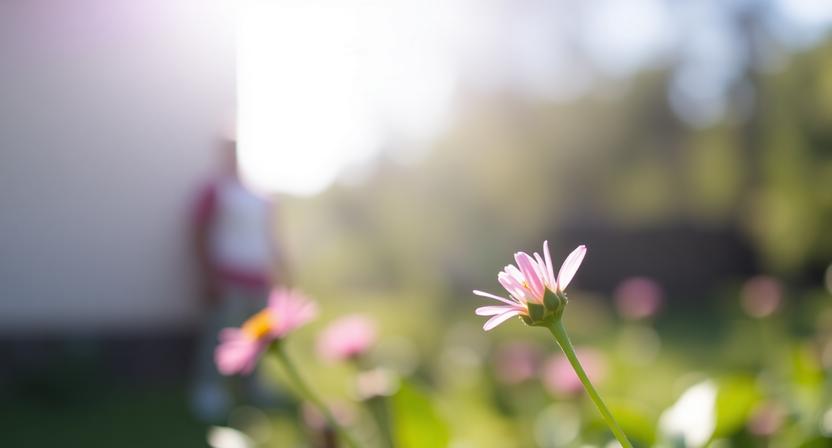 hlbka ostrosti vo fotografii rozmazane pozadie a ostry objekt