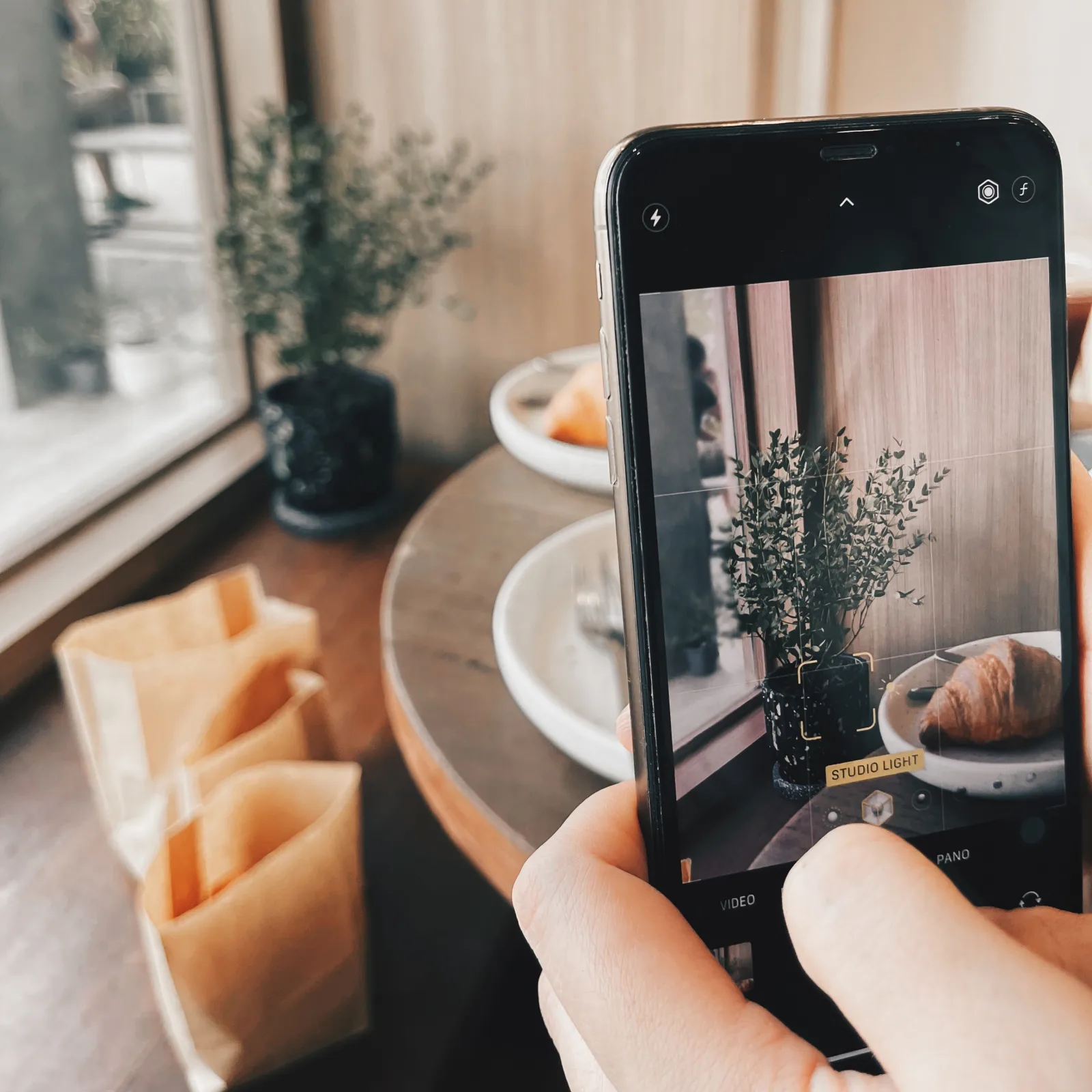 Mobil fotografuje rastlinu a pečivo pri okne v prirodzenom svetle